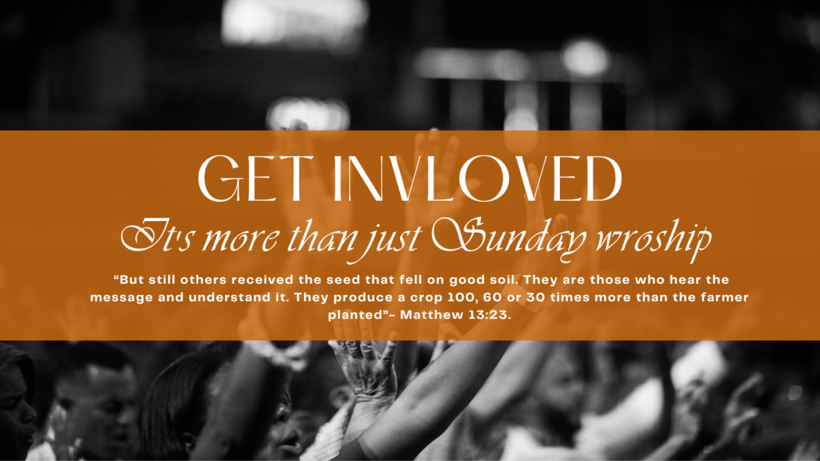 Seed of Life Bible Church
