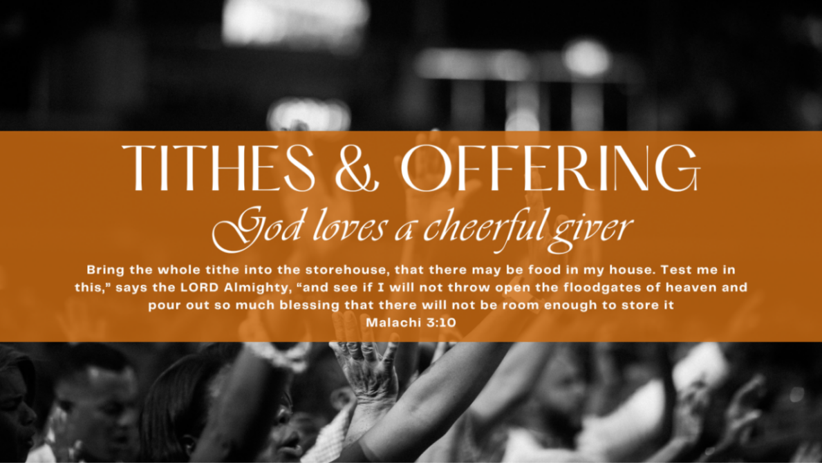 seed of life bible church